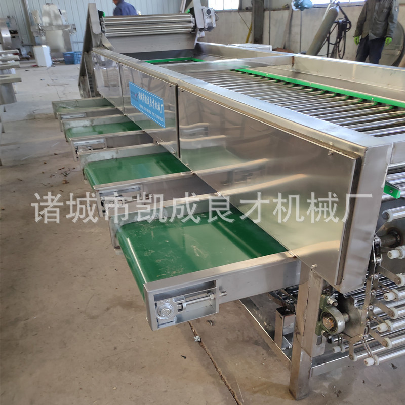 果蔬分選機